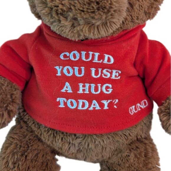 Gund Could You Use A Hug Brown Teddy Bear Plush #16999 Red Hoody 12" Stuffed Toy - Picture 3 of 6